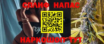 МДПВ Пушкино