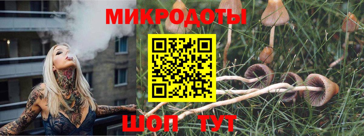 Сыктывкар  Псилоцибиновые грибы Psilocybe  Вход с VPN 